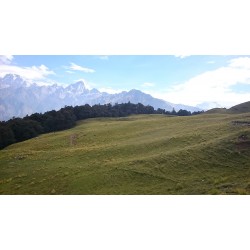 Kuari Pass Trek 6N/7D